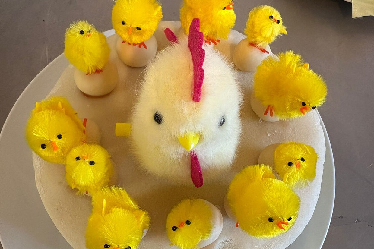 Spring Has Hatched
